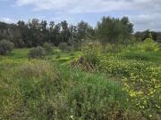 Terreno en Venta en Alhaurín El Grande