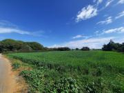 Terreno en venta en Casa de Postas