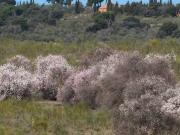 Terreno en Venta en El Álamo