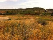 Terreno en Venta en Castelldans