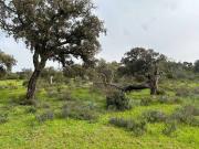 Terreno en Venta en Castilblanco de los Arroyos