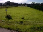 Terreno en Venta en Castrillón