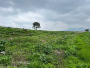 Terreno en Venta en Cañada de Cisneros, Tepotzotlán