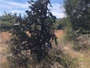 Terreno en venta en Cañada de Madero, Tepeji del Río de...