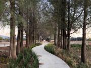 TERRENO EN VENTA EN CAÑADA DEL VALLE. QUERETARO, QUERETARO