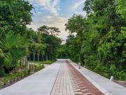 TERRENO EN VENTA EN CD. MAYAKOBA, PLAYA DEL CARMEN, Q. R