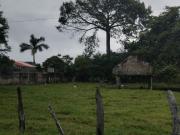 TERRENO EN VENTA EN CENTRO TABASCO