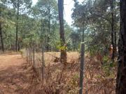 Terreno en venta en Cerro Colorado, Cancún, Estado De México