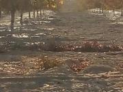 Terreno en venta en Cerro Colorado, Parras, Coahuila