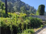 TERRENO EN VENTA EN CERRO GORDO