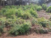 Terreno en venta en Cerro Gordo, Valle de Bravo, Estado...