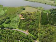 Terreno en venta en Chacala, Compostela, Nayarit