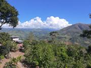 Terreno en venta en Chanchamayo – Selva Central del...