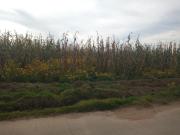 Terreno en venta en Chapultepec, México