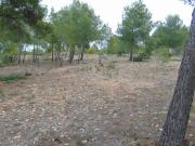 Terreno en Venta en Cheste