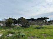 Terreno en Venta en Chiclana de la Frontera