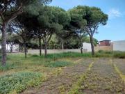 Terreno en Venta en Chiclana de la Frontera