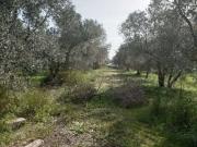 Terreno en Venta en Chiclana de la Frontera