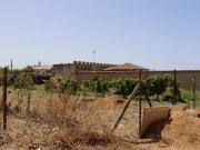 Terreno en Venta en Chiclana de la Frontera