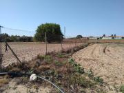 Terreno en Venta en Chiclana de la Frontera