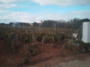 Terreno en Venta en Chiclana de la Frontera