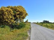 Terreno en Venta en Chiclana de la Frontera