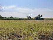 Terreno en Venta en Chiconcuac Morelos