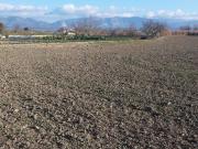 Terreno en Venta en Chimillas