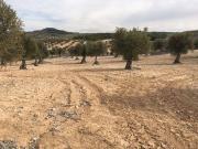 Terreno en Venta en Chinchón