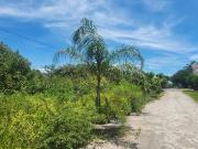 Terreno en Venta en Cuernavaca, Morelos