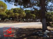 Terreno en Venta en Chipiona