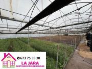 Terreno en venta en Chipiona, Chipiona, 11550