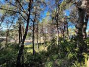 Terreno en venta en Chiva