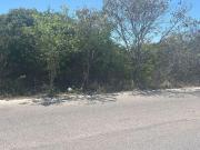 Terreno en venta en chuburna,puerto,yucatan