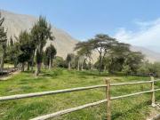 Terreno en venta en Cieneguilla a $340,000