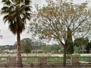 Terreno en venta en Cieza
