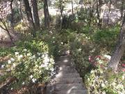 Terreno en venta en Ciudad Bugambilia, Zapopan, Jalisco