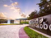 Terreno en venta en Ciudad Mayakoba, Playa del Carmen