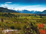 Terreno en Venta en Club de Campo Dos Valles