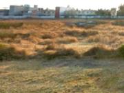 Terreno en venta en Coacalco, Paseo del Bosque