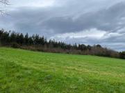 Terreno en Venta en Coaña