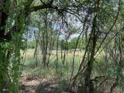 Terreno en Venta en Col Del Maestro Montemorelos 6667 m2