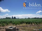 Terreno en Venta en Col. Hidalgo Durango