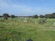 Terreno en Venta en Col. Huitzila, Municipio de... Terreno en Venta en Col. Huitzila, Municipio de...