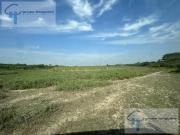 TERRENO EN VENTA EN COL. NUEVO MADERO Y LOS FRESNOS,...