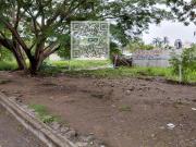 TERRENO EN VENTA EN COL. PALMA REAL TEJERÍA, VER