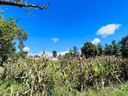 Terreno en Venta en Col. Santa Ana Xochuca, Ixtapan de...