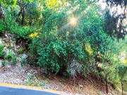 Terreno en venta en Colinas de San ?ngel, San Pedro...