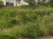 TERRENO EN VENTA EN COLINAS DE SAN ISIDRO