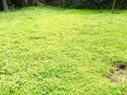 Terreno en venta en Colonia Delicias